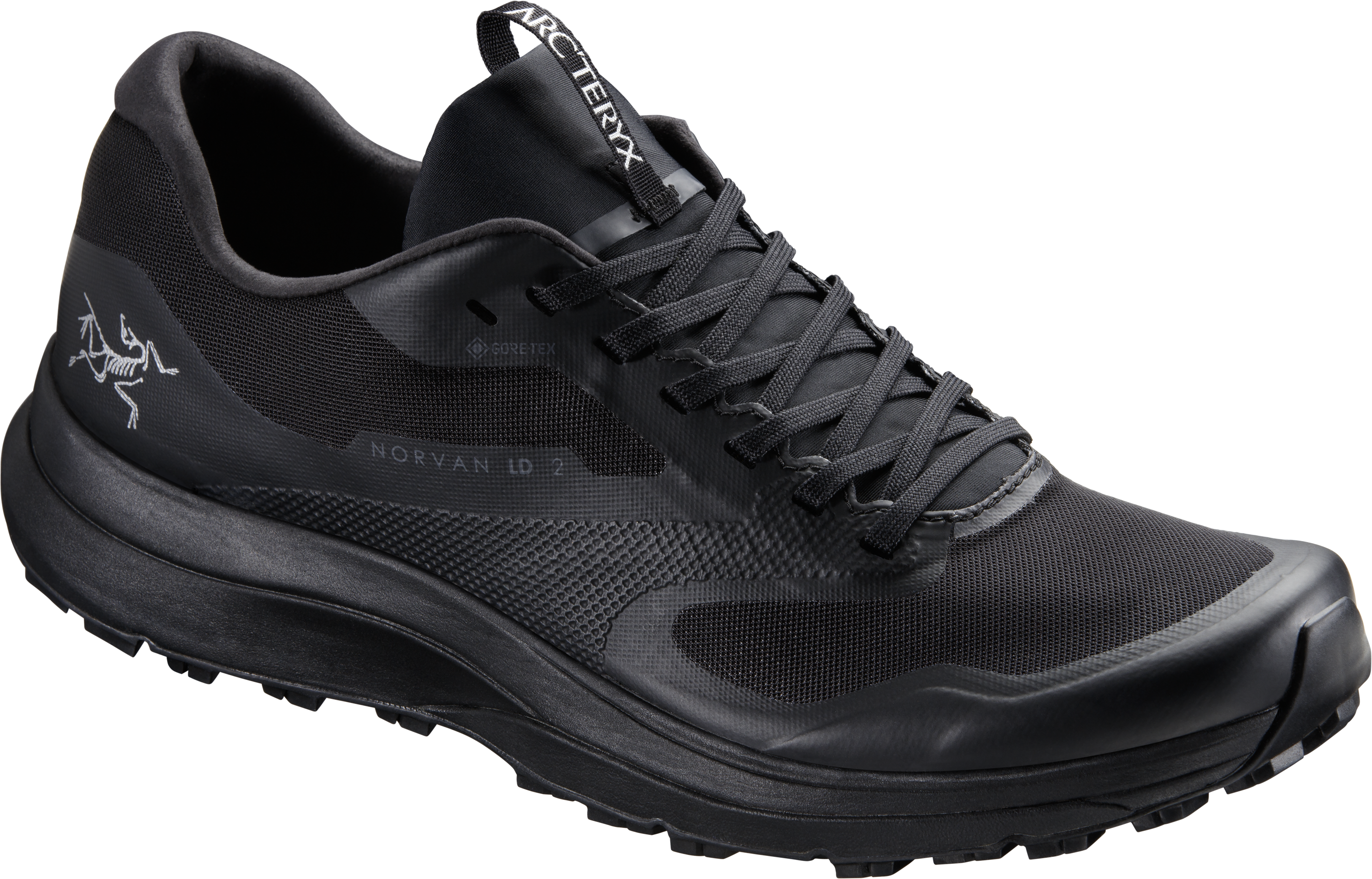 Gore tex мужские. Кроссовки Norvan LD 2. Norvan LD 2 GTX M. Кроссовки мужские Norvan LD 2 GTX M. Кроссовки мужские Arcteryx Norvan LD 2 GTX Black/Black.