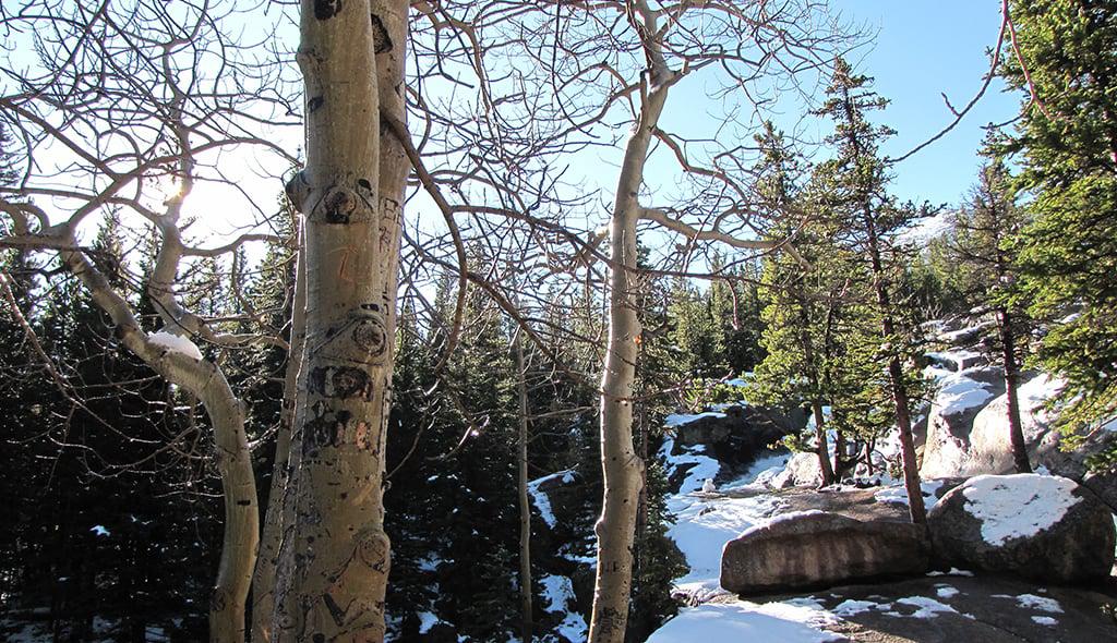 7 of the Best Winter Hikes in Colorado